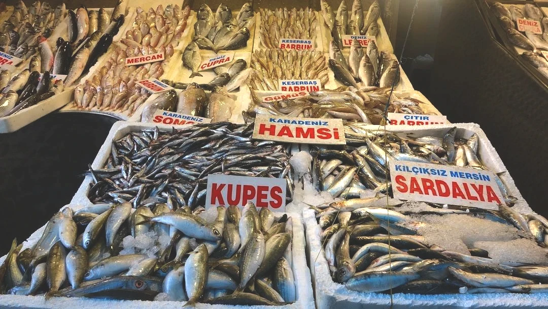 Kasım sonuna kadar fiyatlar uygun  Bolluk yaşanıyor  Ülkenin en ucuzlarından  diyerek açıkladı 4